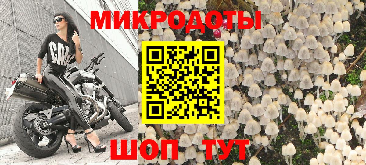 Псилоцибиновые грибы GOLDEN TEACHER  Вход с VPN  Галлюциногенные грибы Psilocybe  Семилуки 